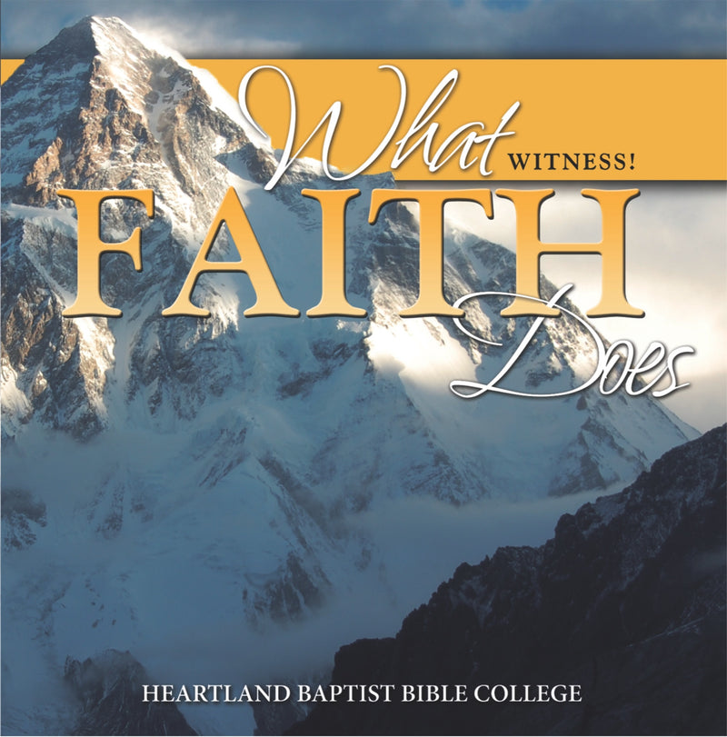 What Faith Does (CD)