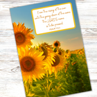 Bible Verse Journals