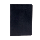 Super Giant Print Bible