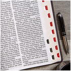 Super Giant Print Bible