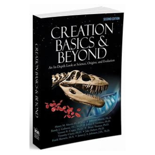 Creation Basics & Beyond 2nd Ed.