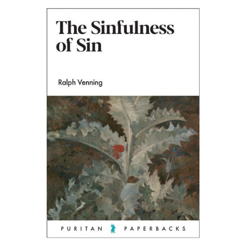 The Sinfulness of Sin