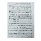 Rejoice Hymnal in Binder (Large Print)