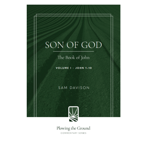 Son of God: Volume 1