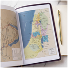 Purple Thinline Bible